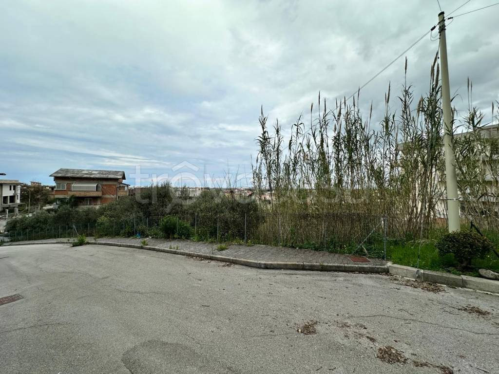 immagine annuncio 8 di 9