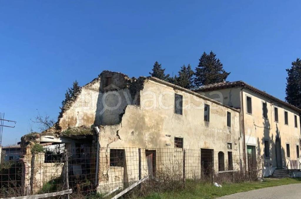 immagine annuncio 7 di 12