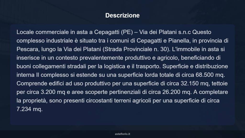 immagine annuncio 8 di 10