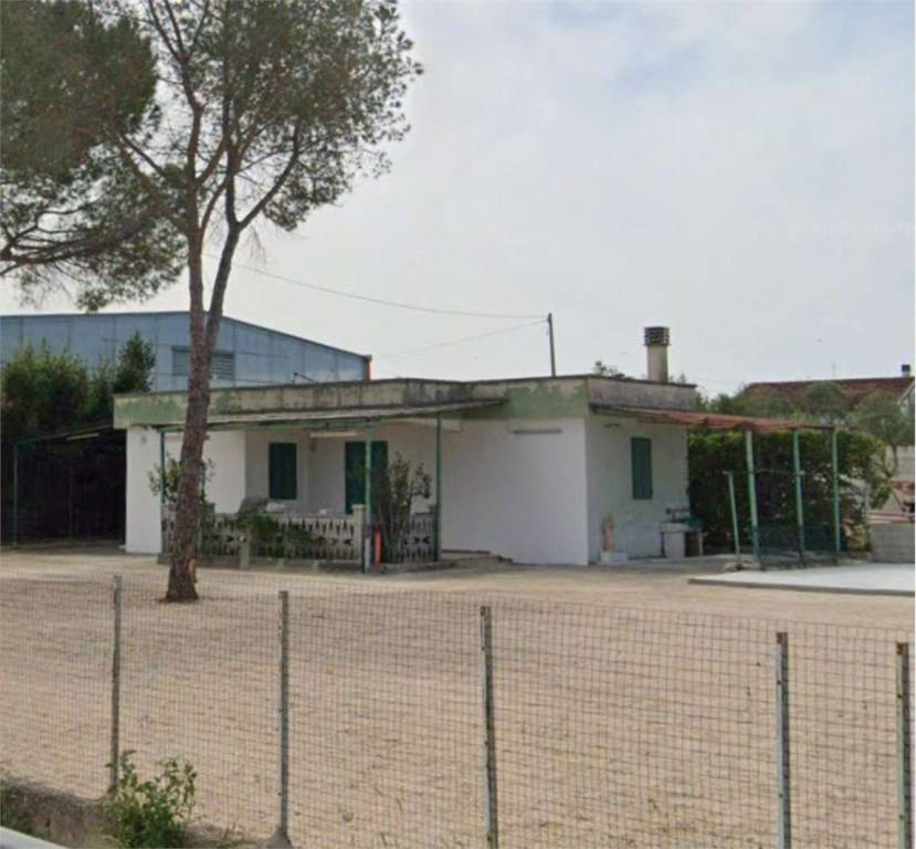 immagine annuncio 6 di 13