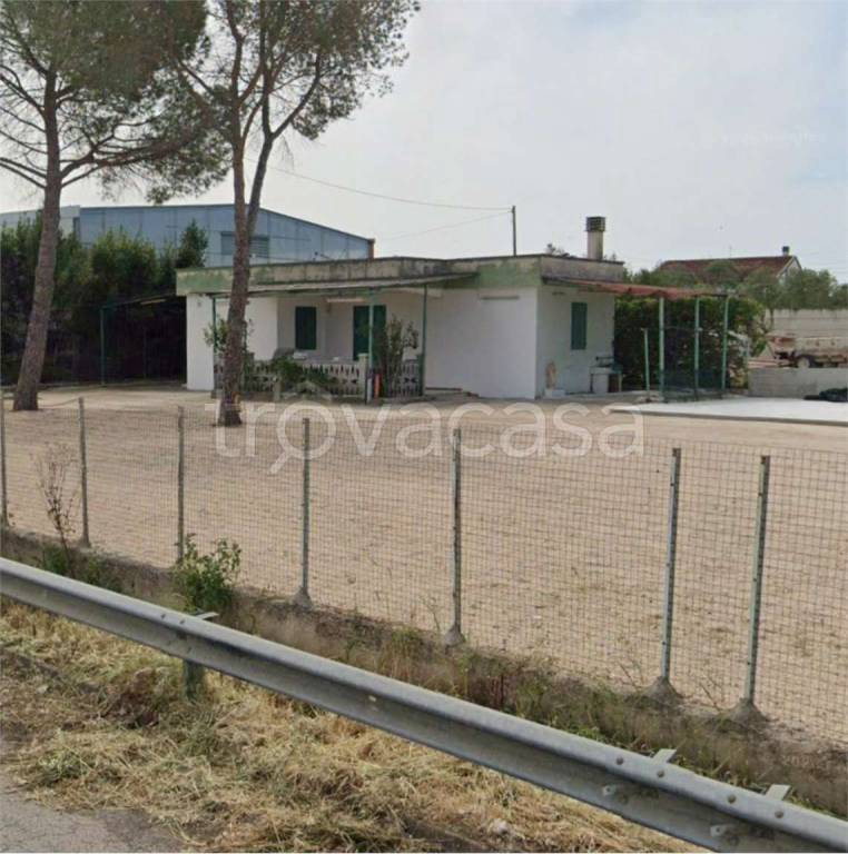 immagine annuncio 7 di 13