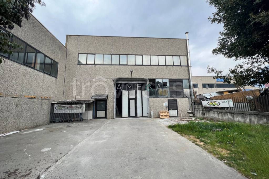 immagine annuncio 1 di 8