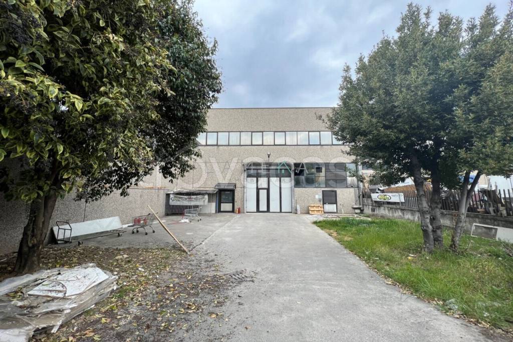 immagine annuncio 2 di 8