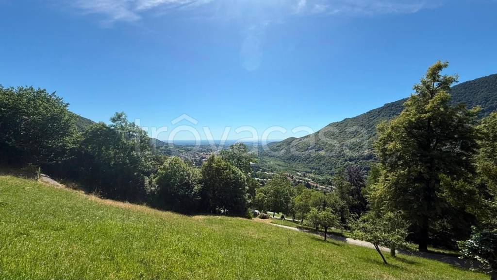 immagine annuncio 6 di 11