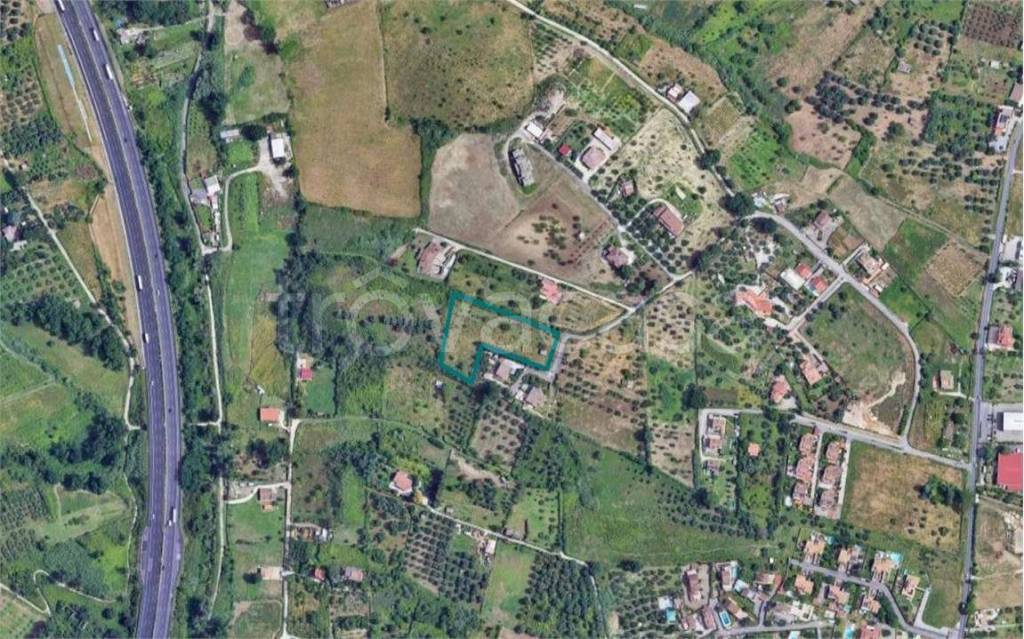 immagine annuncio 2 di 3