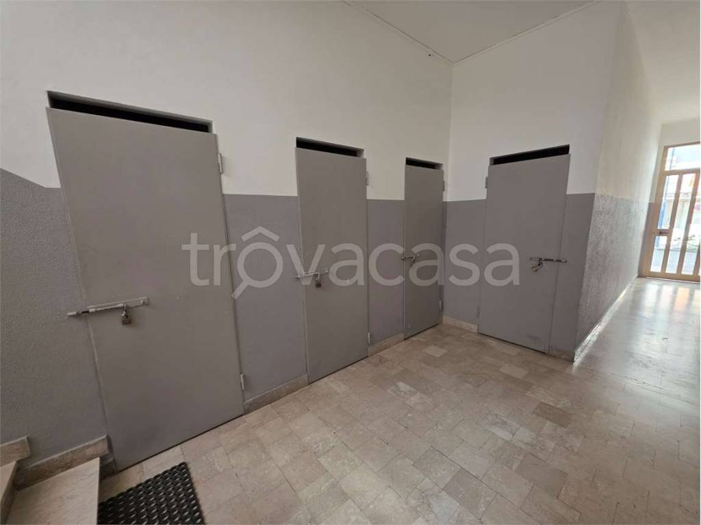 immagine annuncio 7 di 14