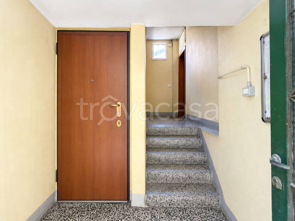immagine annuncio 6 di 8