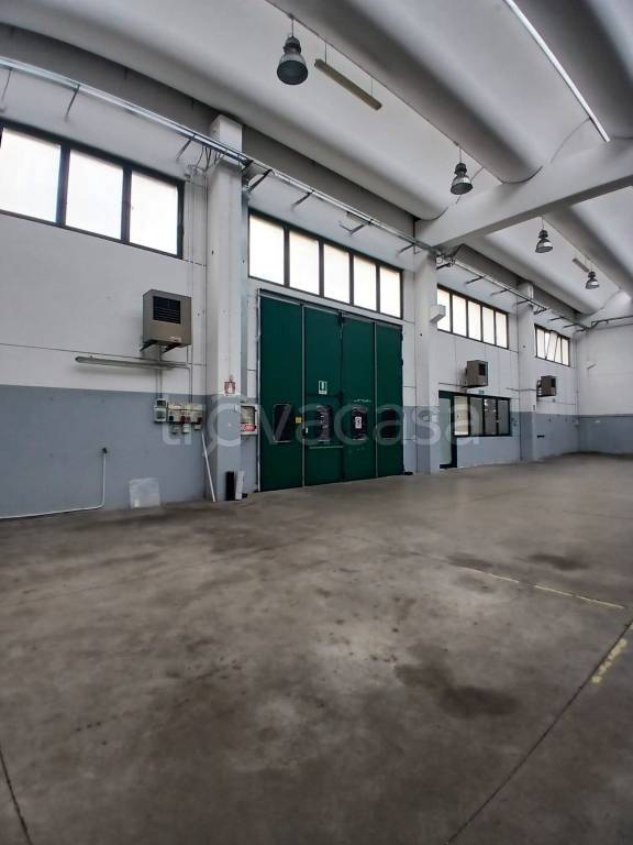 immagine annuncio 1 di 14