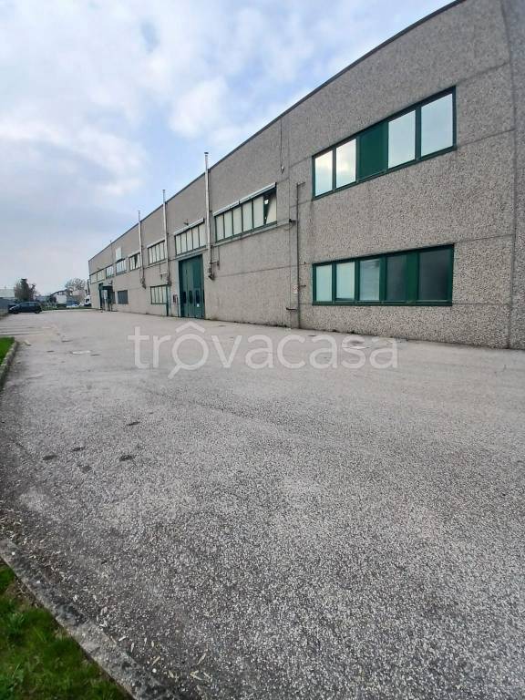 immagine annuncio 10 di 14