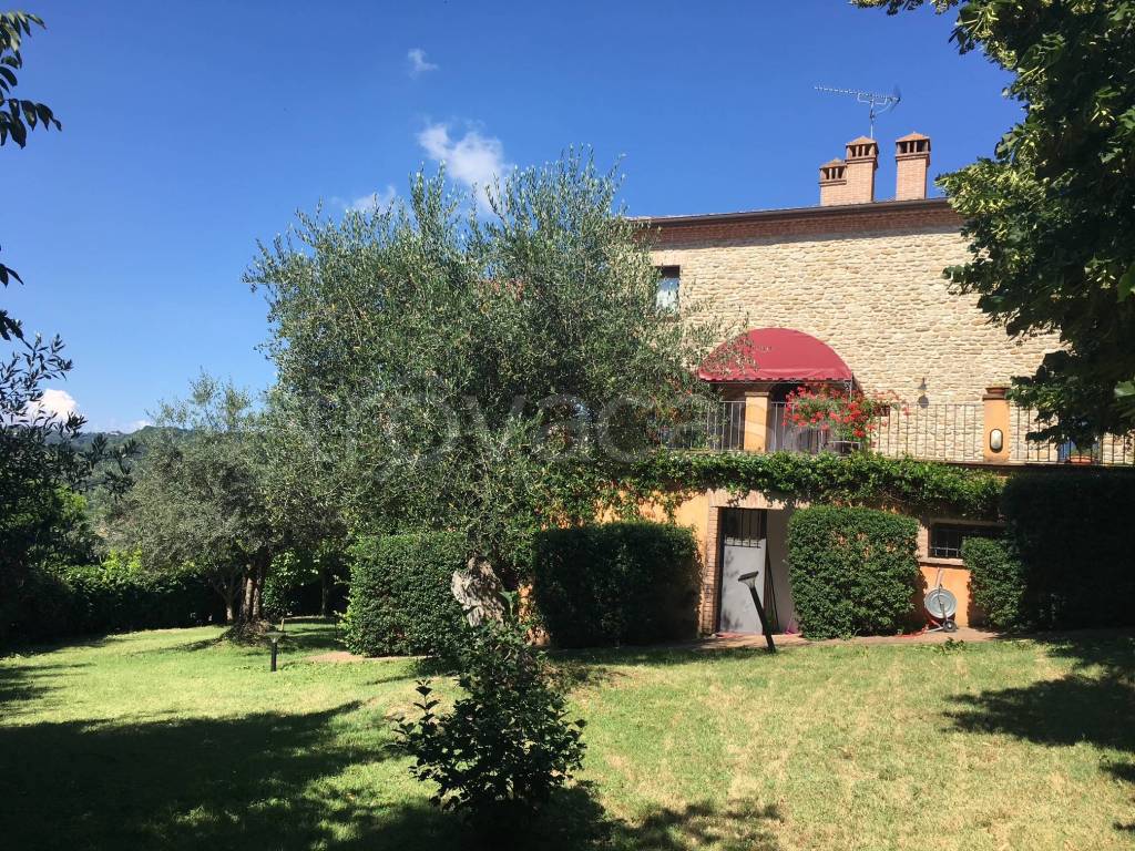 immagine annuncio 2 di 11