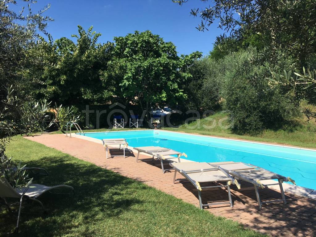immagine annuncio 6 di 11