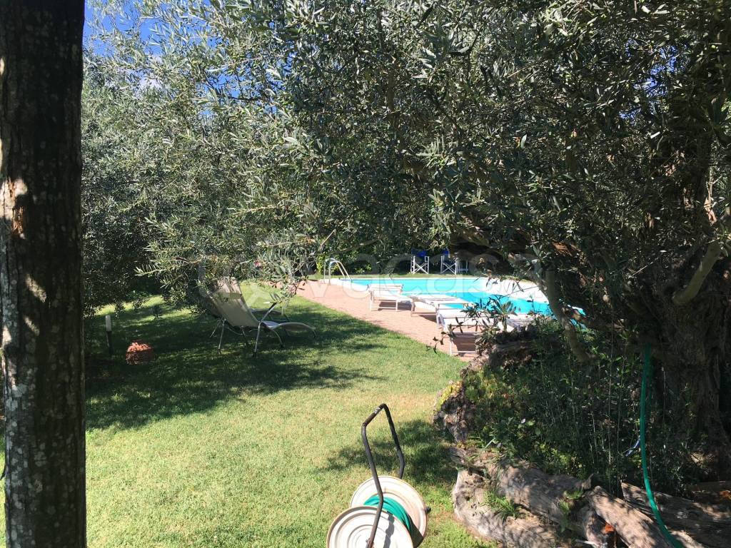 immagine annuncio 7 di 11