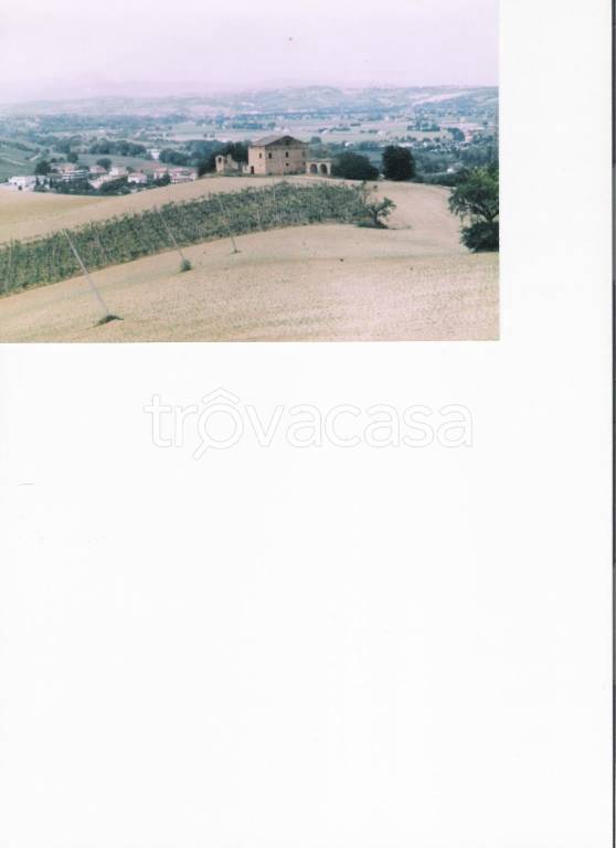 immagine annuncio 6 di 7
