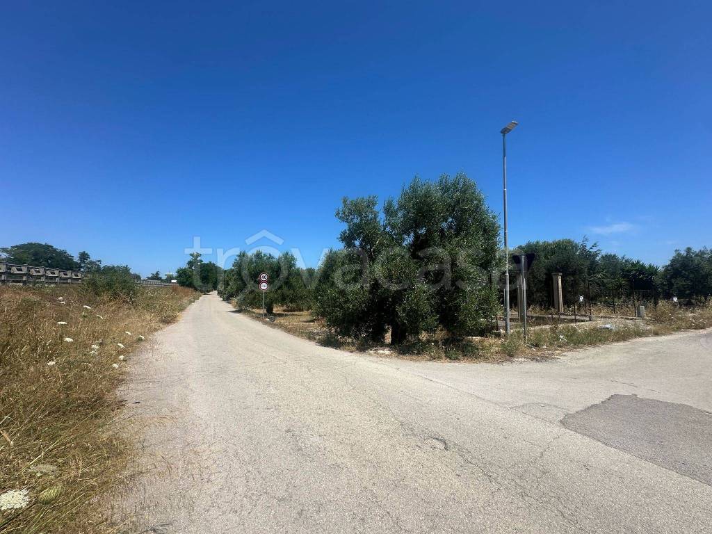 immagine annuncio 2 di 4