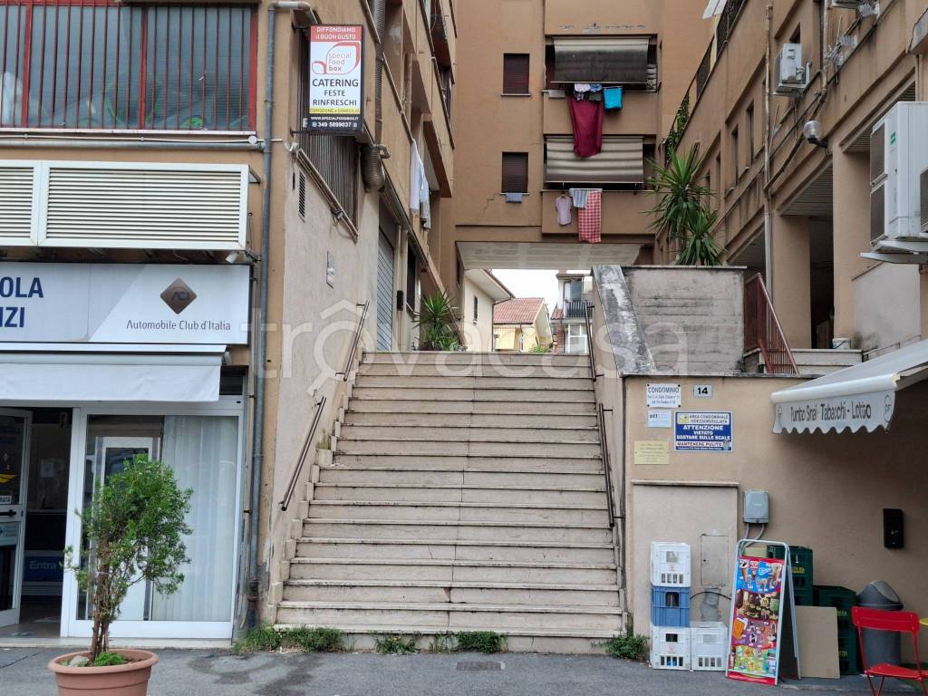 immagine annuncio 12 di 14