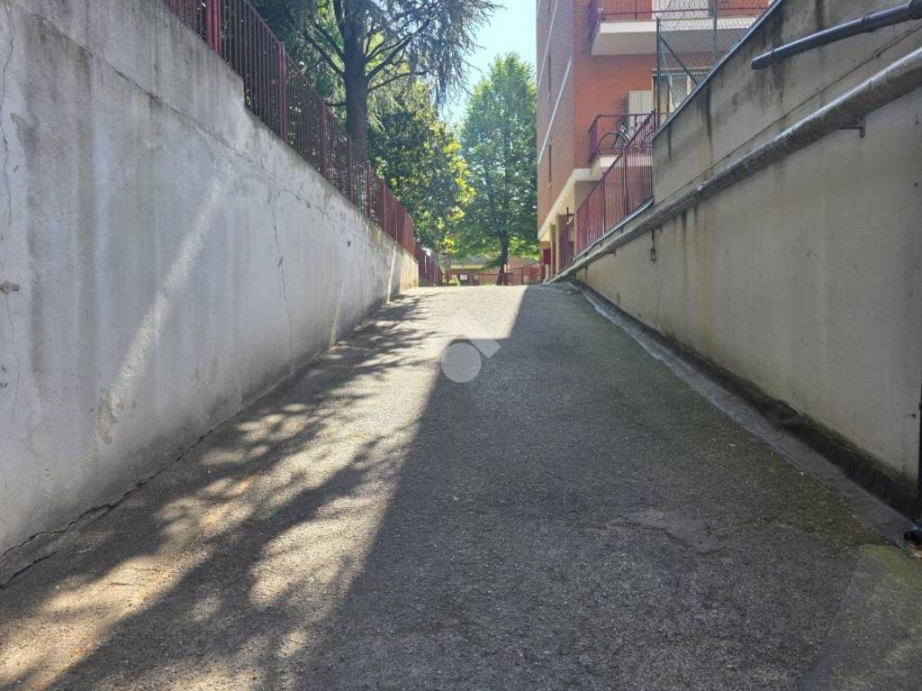 immagine annuncio 2 di 12
