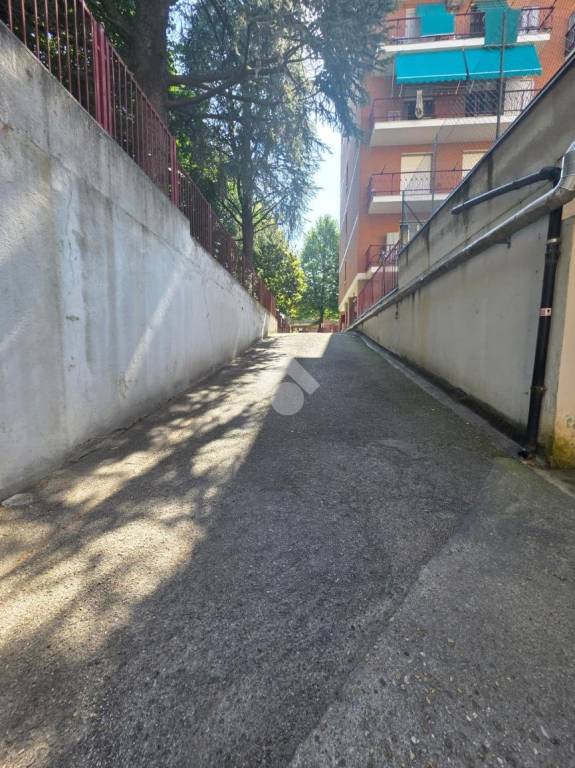 immagine annuncio 3 di 12