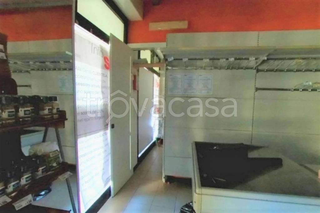immagine annuncio 9 di 11