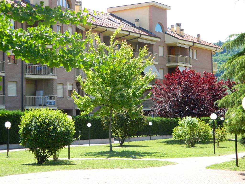 immagine annuncio 7 di 12