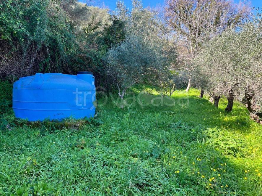 immagine annuncio 4 di 6