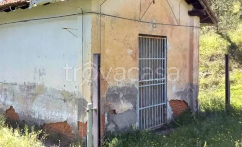 immagine annuncio 8 di 12