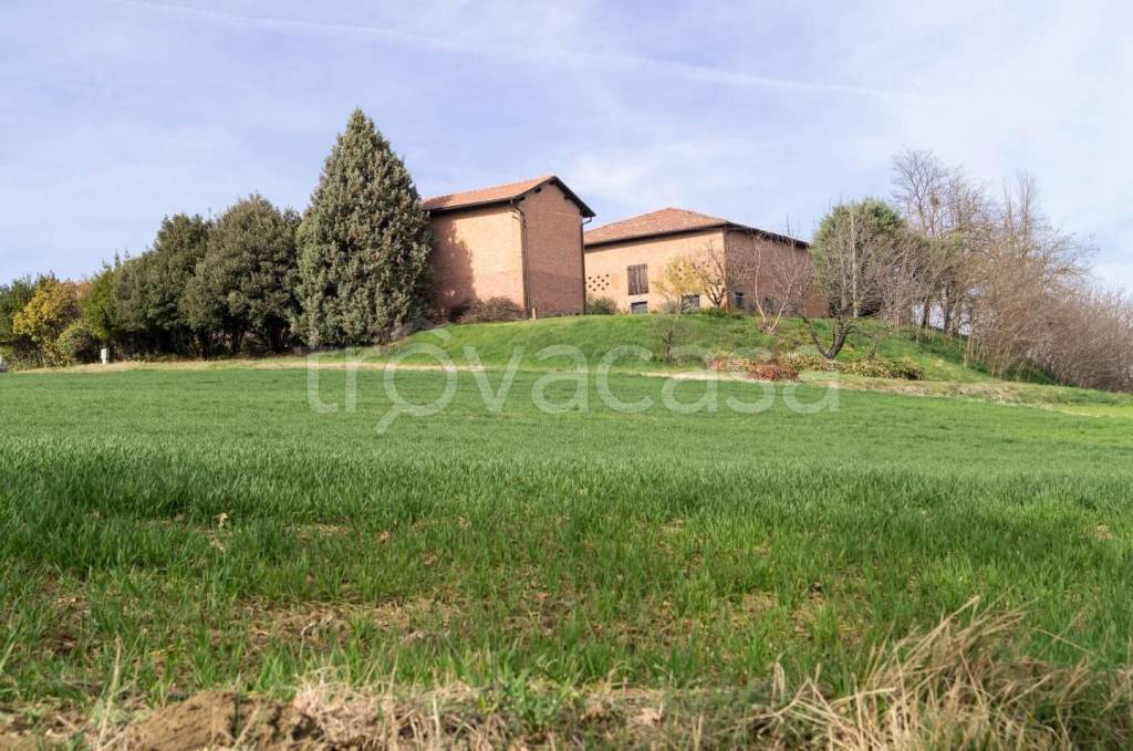 immagine annuncio 5 di 9