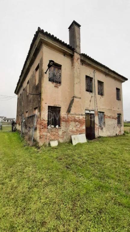 immagine annuncio 4 di 7