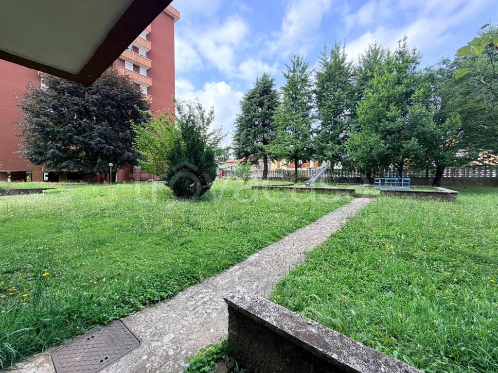 immagine annuncio 6 di 15
