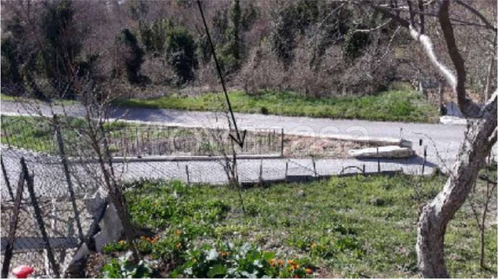 immagine annuncio 5 di 14