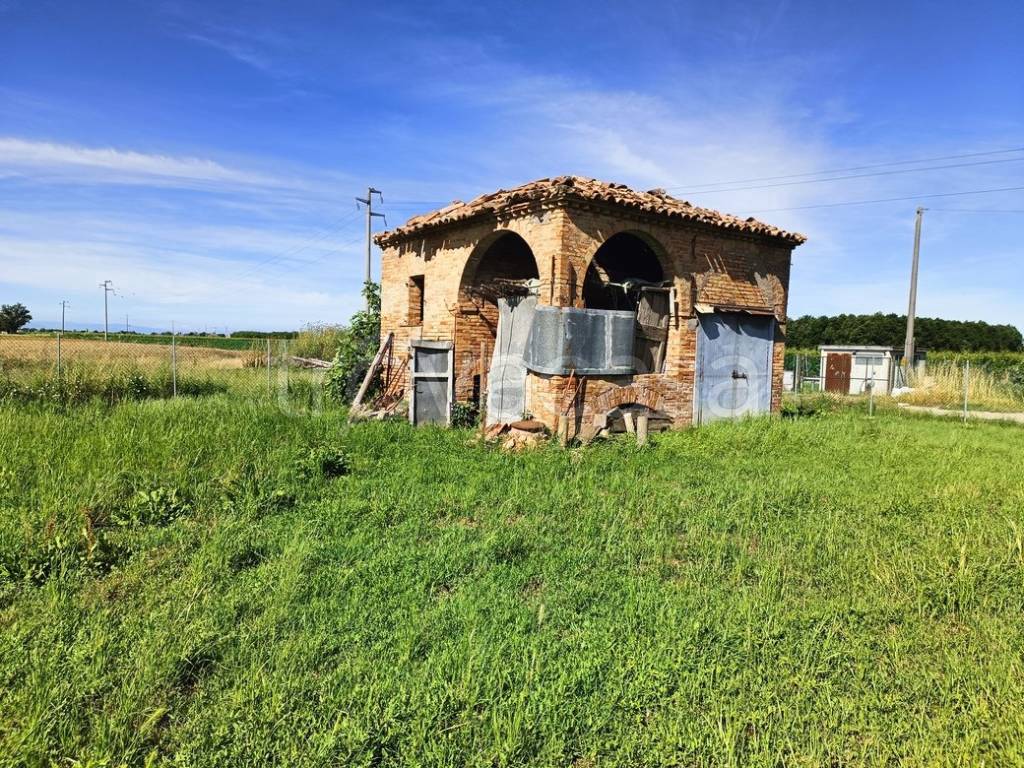 immagine annuncio 10 di 11