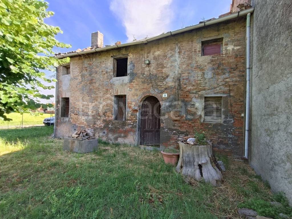 immagine annuncio 3 di 11
