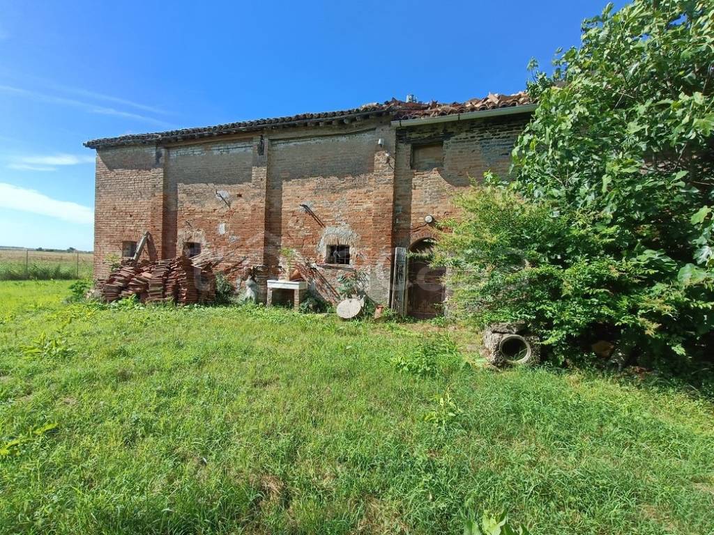 immagine annuncio 4 di 11