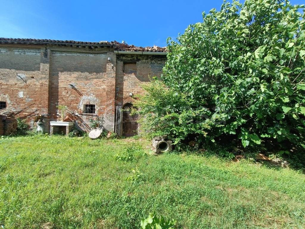 immagine annuncio 5 di 11