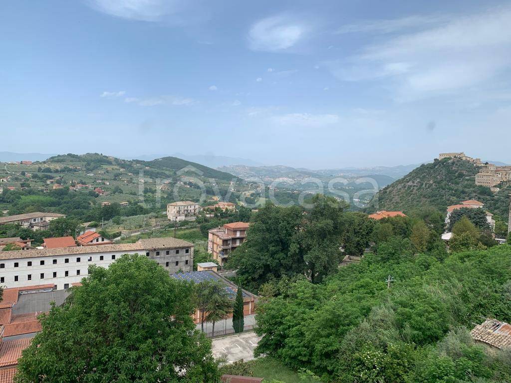 immagine annuncio 7 di 13