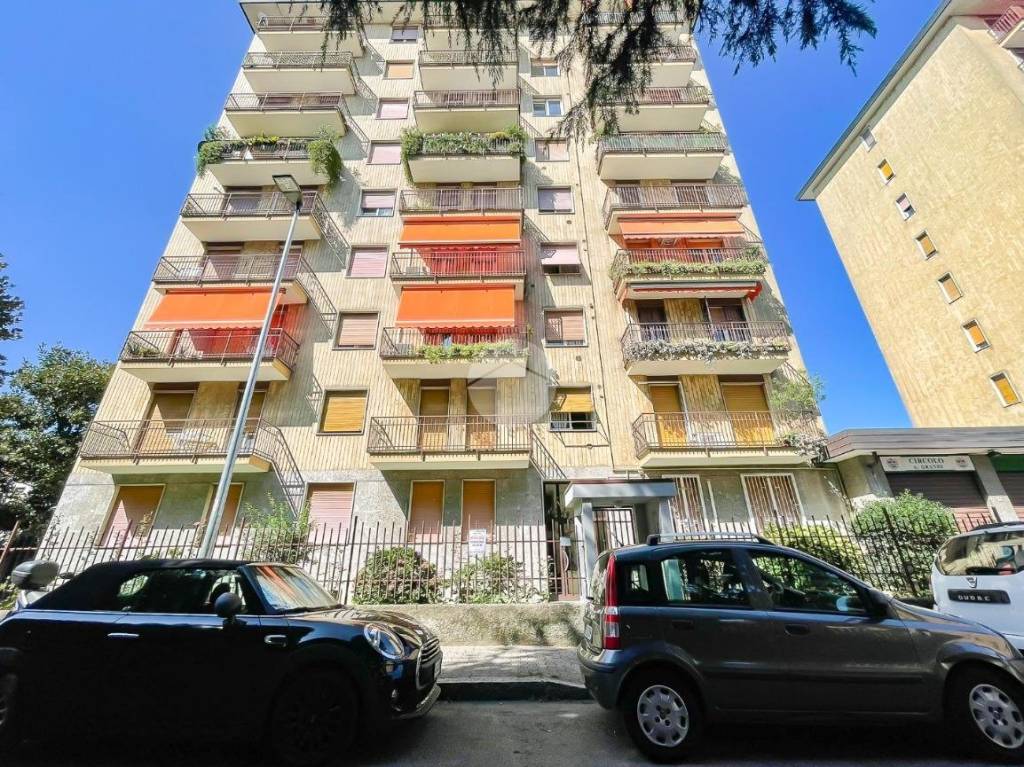 immagine annuncio 14 di 15