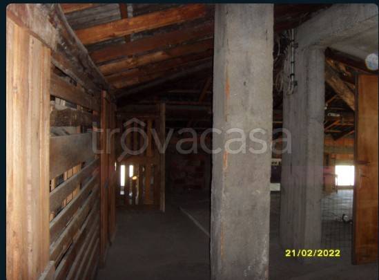 immagine annuncio 7 di 13