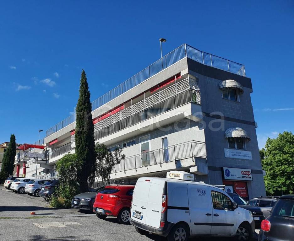 immagine annuncio 1 di 12