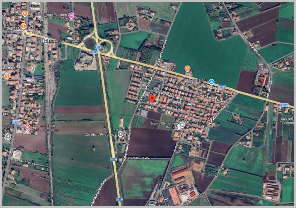 immagine annuncio 11 di 15