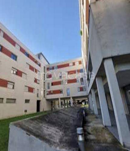 immagine annuncio 2 di 8
