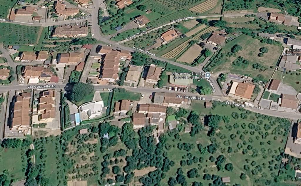 immagine annuncio 4 di 15
