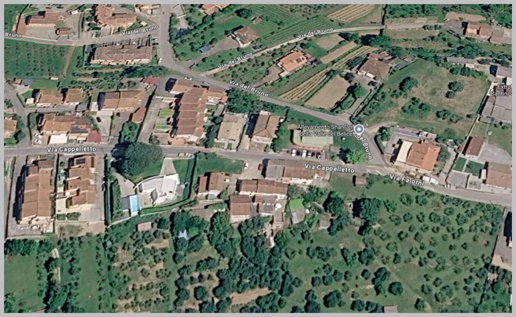immagine annuncio 11 di 15