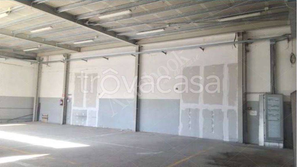 immagine annuncio 8 di 14