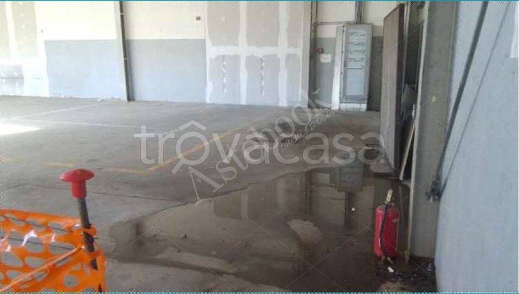 immagine annuncio 12 di 14