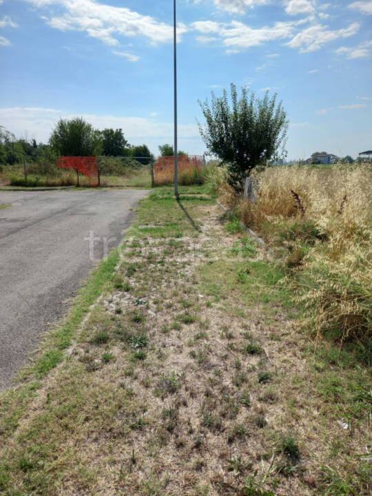 immagine annuncio 2 di 8