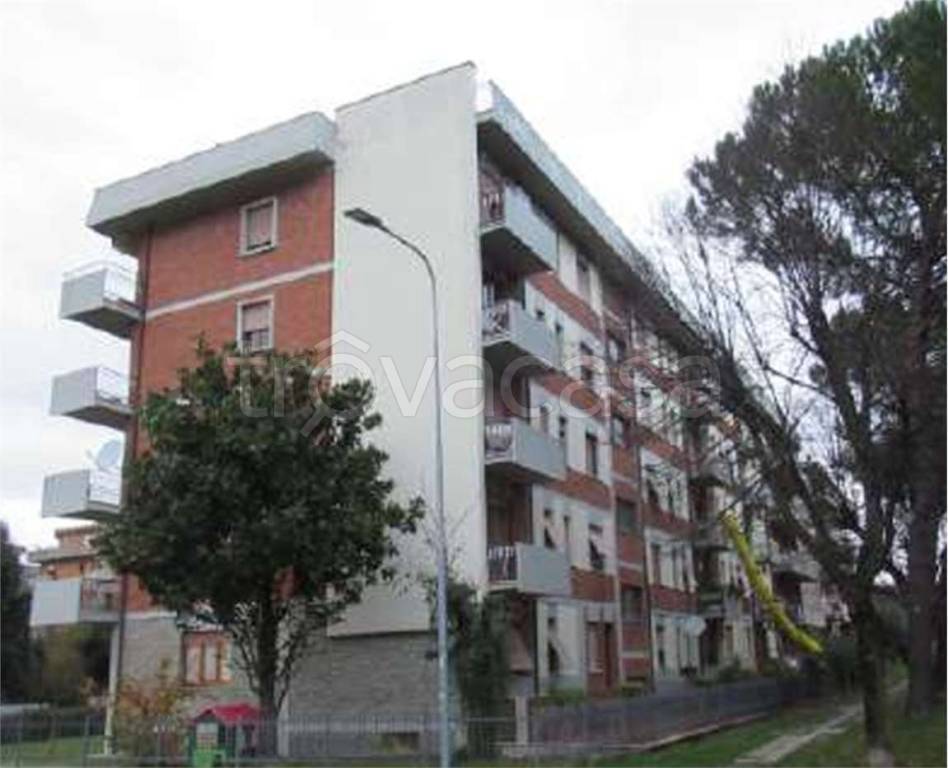 immagine annuncio 3 di 14