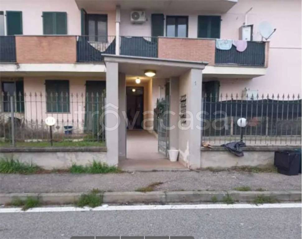immagine annuncio 4 di 12