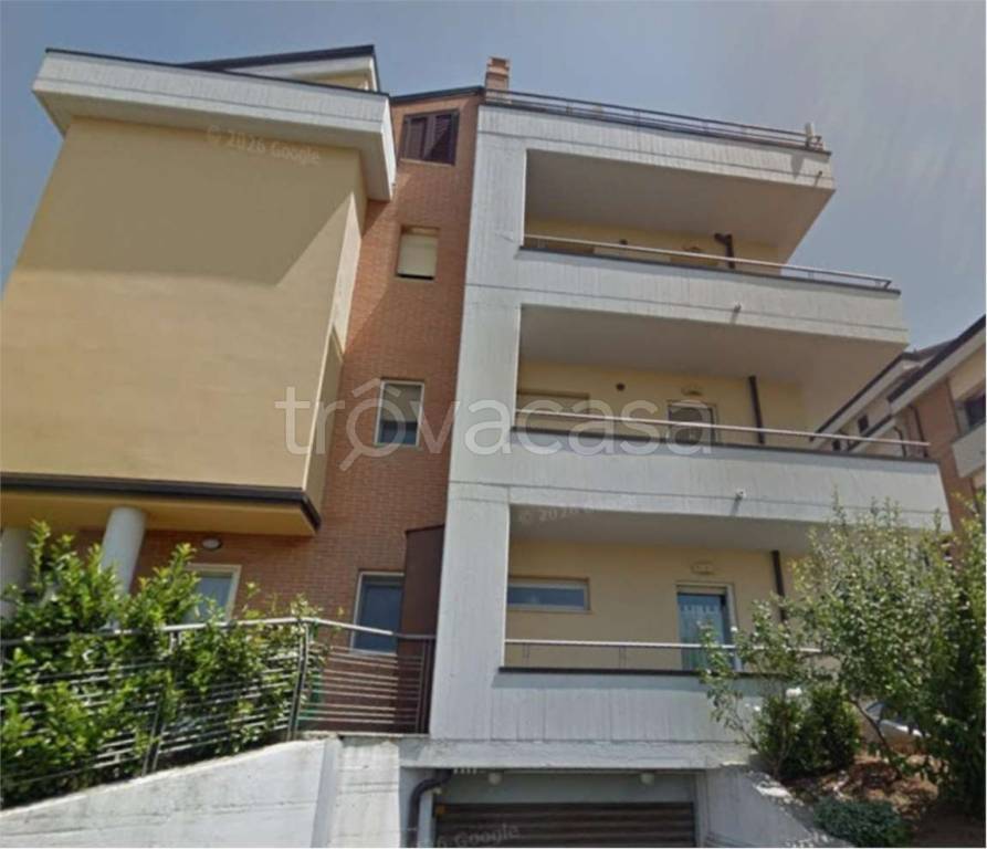 immagine annuncio 3 di 11