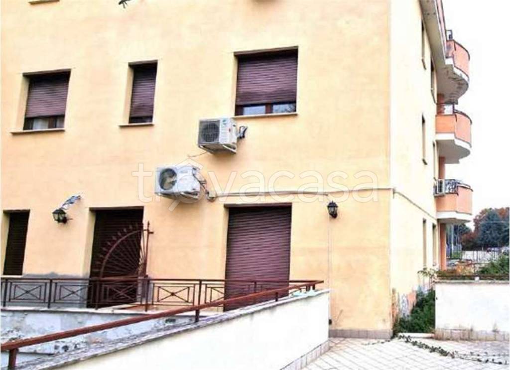 immagine annuncio 2 di 14