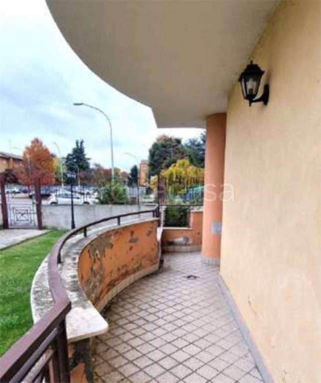 immagine annuncio 5 di 14