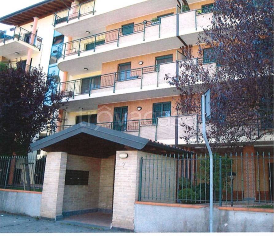 immagine annuncio 1 di 13